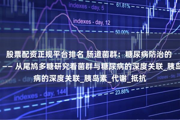 股票配资正规平台排名 肠道菌群：糖尿病防治的 “隐形调节器”—— 从尾鸠多糖研究看菌群与糖尿病的深度关联_胰岛素_代谢_抵抗