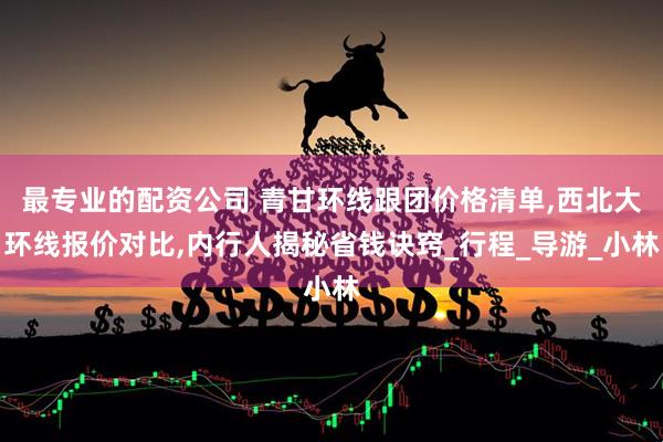 最专业的配资公司 青甘环线跟团价格清单,西北大环线报价对比,内行人揭秘省钱诀窍_行程_导游_小林