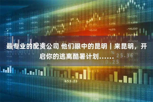 最专业的配资公司 他们眼中的昆明｜来昆明，开启你的逃离酷暑计划……